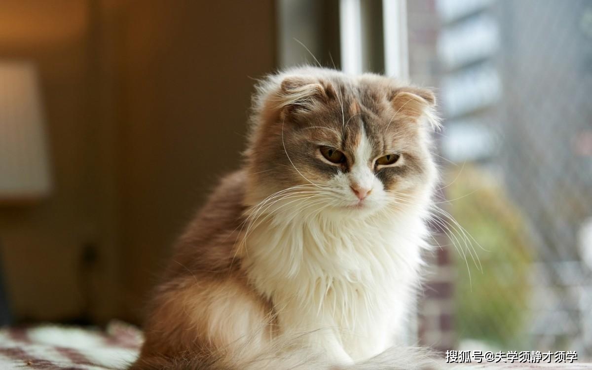 内涵段子：昨晚我和老婆去吃烧烤，她突然要和我喝两口！